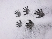 冬の預かり保育