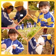 園外保育～落ち葉拾い🍂～